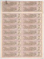 Buda-Pest 1871. "Magyar Nyugoti Vasút" részvénye 200Ft-ról szelvényekkel, felülbélyegzések...