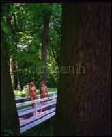 Több fotómodell közreműködésével, különböző időpontokban és eltérő helyszíneken készült akt felvétel...