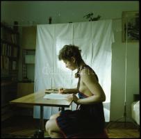 Menesdorfer Lajos (1941-2005) budapesti fotóművész hagyatékából, 13 db vintage NEGATÍV az aktfénykép...