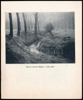 1941-1943 Háború előtti fotóművészeti katalógus tétel, 3 db: 

1941 7. Nemzetközi Művészi Fényképk...