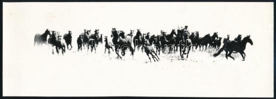 1964 Markó Ödön (1920-1984) győri fotóművész hagyatékából vintage fotóművészeti alkotás, pecséttel jelzett (A megvadult ménes), 8,6x24,1 cm