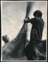 1975 Végh Elek kőbányai fotóművész vintage fotóművészeti alkotása, felirat a felragasztott kép hátoldalán, 24x18 cm
