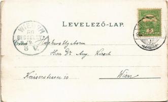 1902 Trencsén, Trencín; vár, vasúti sín. Gansel Lipót 208. 139. / castle, railway (EK)