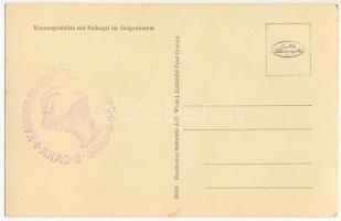 Kaunergrathütte mit Puikogel im Geigenkamm / Austrian tourist house with Olympic flag