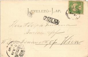 1901 Óváralja, Nezbudská Lúcka, Óvár, Stary Hrad; vár a Vágvölgyben, Zsolna mellett. Gansel Lipót 18...