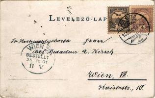 1901 Újtátrafüred, Neu-Schmecks, Novy Smokovec (Magas-Tátra, Vysoké Tatry); Kertész Tódor üzlete. Ca...