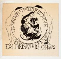 Harsányi Kálmán: Napi témák, örök problémák. Az illusztrátor, Sassy Attila 'Aiglon' részér...