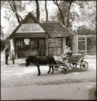 cca 1968 Budapest, az állatkerti póni-fogat, amely közkedvelt emlékkép készítő helyszín volt gyorsfotó szolgálattal, mire távoztak a fotózkodó látogatók, átvehették a kész fényképet, 3 db vintage NEGATÍV, 6x6 cm