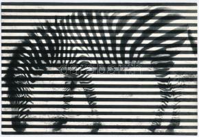 cca 1982 Újvári Béla: Kompozíció zebrával, feliratozott vintage fotóművészeti alkotás, 15,6x23,2 cm