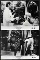 1981 ,,A nindzsa színre lép" című amerikai film jelenetei és szereplői, 8 db vintage produkciós filmfotó, kisebb hibákkal,18x24 cm