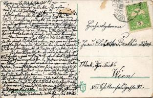 1914 Marosújvár, Uioara, Ocna Mures; park és uszoda / park, spa (Rb)