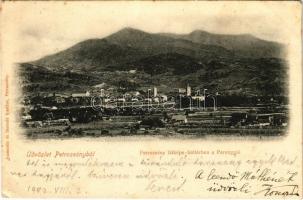 1902 Petrozsény, Petrosani; látkép, háttérben a Parenggal. Joanovits és Sternád kiadása / general view (EM)