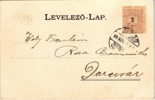 1899 (Vorläufer) Lugos, Lugoj; Részlet Lugosról. Auspitz Adolf kiadása / Teilansicht / general view ...