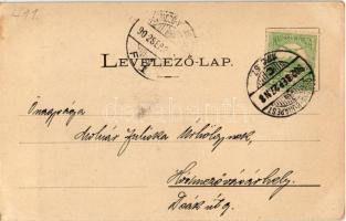 1902 Lugos, Lugoj; Temetőkápolna. Nemes Kálmán kiadása / Friedhofskapelle / cemetery chapel (fl)