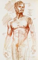 John Paignton (John S. Barrington (1920-1991)):The male nude in litho-photo-graphic art. The nude in...