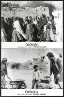 1980 ,,Örökség című algériai film jelenetei és szereplői, 8 db vintage produkciós filmfotó, kisebb hibákkal,18x24 cm