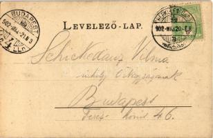 1902 Orsova, Vízesés Mehádián. Raichl Sándor junior kiadása / Wasserfall in Mehadia / waterfall (r)