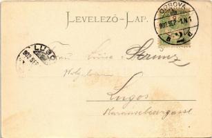 1902 Orsova, látkép / general view (fl)