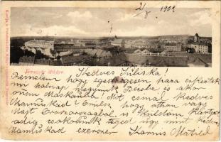 1902 Temesvár, Timisoara; látkép. Polatsek kiadása / general view (r)