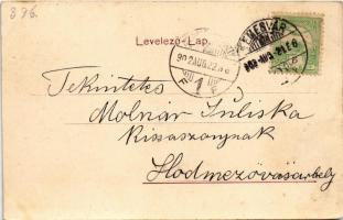 1902 Temesvár, Timisoara; látkép. Polatsek kiadása / general view (r)