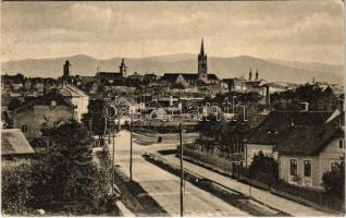 1918 Nagyszeben, Hermannstadt, Sibiu; látkép / general view (EK)