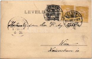 1904 Pozsony, Pressburg, Bratislava; Üdvözlet. Neffe J. kiadása / Greeting