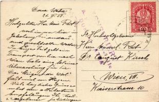 1918 Vatra Dornei, Dornavátra, Bad Dorna-Watra (Bukovina); Springbrunnen im Park / fountain