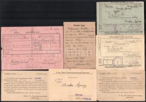 cca 1930-1950 Szarvas, kancák fedeztetésével kapcsolatos nyomtatványok, haszonállat-vizsgálati igazolványok, űzetési jegy, fedeztetési jegy, összesen 7 db
