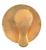 Ausztria DN "A tiroli Léghajó Egyesület számára" aranyozott, zománcozott Br gomblyuk jelvé...