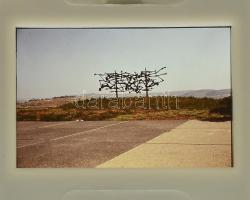 971 db színes dia keretben, diatartó dobozokban, változatos anyag, privát felvételek, Izrael, India,...