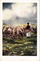 Dunántúli birkás. Rigler R.J.E. 4300/6. / Hungarian folklore art postcard s: Köves