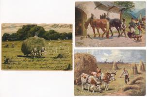 5 db RÉGI mezőgazdasági motívum képeslap / 5 pre-1945 agricultural motive postcards