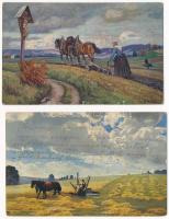 5 db RÉGI mezőgazdasági motívum képeslap / 5 pre-1945 agricultural motive postcards