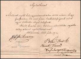 1888 Nagykanizsa, szülői nyilatkozat, hozzájárulás egy fiú egy évi önkéntes hadkötelezettségéhez