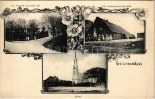 Kronprinzenkoog, Kirche, Der Heinrich Ayesche und der Schönermarksche Hof / church, villas. Art Nouveau, floral