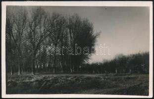 Jugoszlávia 1936 Yugoslavia 1936