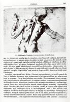 Kenneth Clark: Az akt. Tanulmány az eszményi formáról. Fordította Várady Szabolcs. Bp., 1986, Corvin...