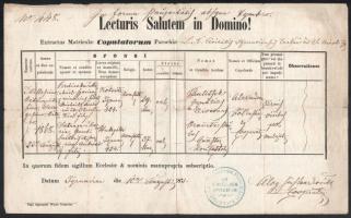 cca 1871-1940 8 db anyakönyvi kivonat