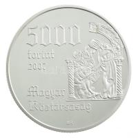 2007. 5000Ft Ag Árpád-házi Szent Erzsébet kapszulában T:PP Adamo EM213