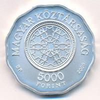 2009. 5000Ft Ag "Dohány utcai zsinagóga" kapszulában, tanúsítvánnyal, színes MNB tájékozta...