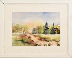 RR (?) 1990 jelzéssel: Erdőszéle. Akvarell, papír, fa keretben, , 24x20 cm