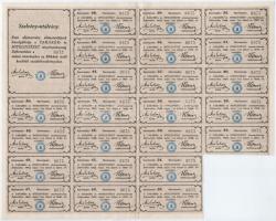 Debrecen 1895. "Takarék-és Hitelintézet Részvénytársaság" 200 koronáról szóló részvénye sz...