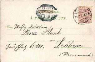 1898 (Vorläufer) Keszthely, látkép, Festetics kastély, Balaton és Hullám szálloda, Fürdő. Mérei Igná...