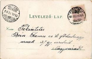 1899 (Vorläufer) Keszthely, Balatoni park, Fő utca, fürdőház, Festetics palota, Gazdasági tanintézet...