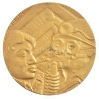 DN "20 éves bányászmentő szolgálatért" kétoldalas, aranyozott fém érdemérem (70mm) T:2