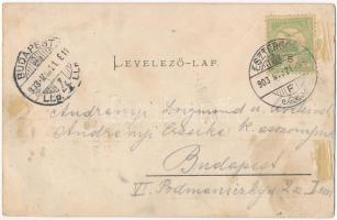 1903 Esztergom, Esztergomi Lapok szecessziós montázs. Kardos Dezső 161. (fl)