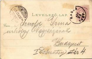 1896 (Vorläufer) Kassa, Kosice; Fő utca, lóvasút, Gazdasági tanintézet, Mária szobor. Koczányi és Vi...