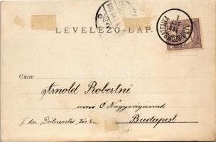 1900 Alsószombatfalva, Alsó-Szombatfalva, Sambata de Jos; Brukenthal kastély, ötös fogatú virágokkal...