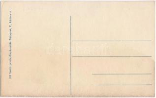 Királyháza, Korolevo, Královo nad Tisou; Várhegy és kápolna. Vasúti levelezőlapárusítás 251. / castl...