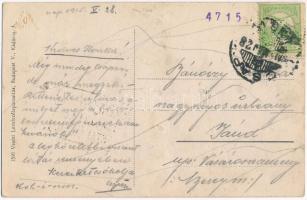 1915 Csap, Chop, Cop; Tisza híd, vasúti híd. Vasúti levelezőlapárusítás 1596. / railway bridge (b)